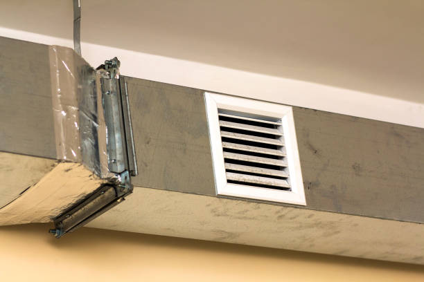 Best Air Duct Mold Removal  in Orleans, IN